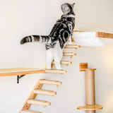 Cat Climbing Shelf – Wall-Mounted Cat Tree with Scratching Post