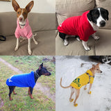 Winter Dog Hoodie - Fleece Warm Sweatshirt for Dogs Jack's Clearance