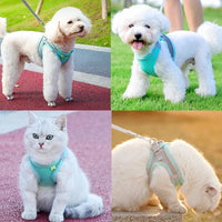 Cat Harness Leash Set Escape Proof Kitten Harness For Cat Small Dog Breathable Puppy Pet Walking Lead Leash Cat Accessories Jack's Clearance